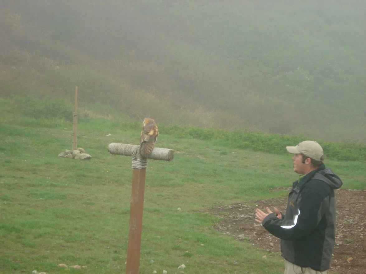 B3MH1_Tmt32_ADtQ0y4OXH3XBmxR1q08EHq1F4ctEXevx9AKOkGsG8xtVRtsYg-fOHh08evWtH36cUwh3AunmLhWK0ZjikwlaZnVN0HB8kICme2vkLatoMS8ciVCntf2dga4cIfP1LYhomksRDuJKoXLzEpCeGCrrQdOQxutAVNZgYwoJjpnPLbSpMr2-SdSI5AHMsIeOkq3AYspuZk8pUKTfuRH3IvYA38sAAk1_Aq9tkHJxPwJ4lOIgBw3lB3RcZwBXfi2MPKqs6glocjpAn5FNVARV5dK0FEq_woFc4Xn_3h6jn2ktwPAu0zV3uS354vzNGZPrCwHRytZ7RfbtCtvw9iQ0xi-JjQw9fnU64cfgrUQAOQuIvj4o9djNEMQdt3yuhcKr_75x8JSVCTmH-_tNVWFm-vMB8kaaQ4lMngnF6sIZpmLoq7T2NRJo840O9FY-etsQdT96K3ADmchMLhovobWZjqAESFn-KyJrren_zu7XKdEbtktJp5fi11HQMyjWSGQvI53H-r87hy9tiYZtgKGWcRYsldN1U4VXLgNKoFmACV14g1Tr5T4O0zDyF0w5HIKsjwqJI0NS5oRqQKBkHWk_kw5abCCG5ky0hrW1iPVvkCfIV1BIwFz3jJsZWcHoG8tVRhYabdgtx3J4tR4NOOCtiHKWAopQQ0e1LLe1uVkTXT-1utd_5vrVbI=w1175-h882-no?authuser=0