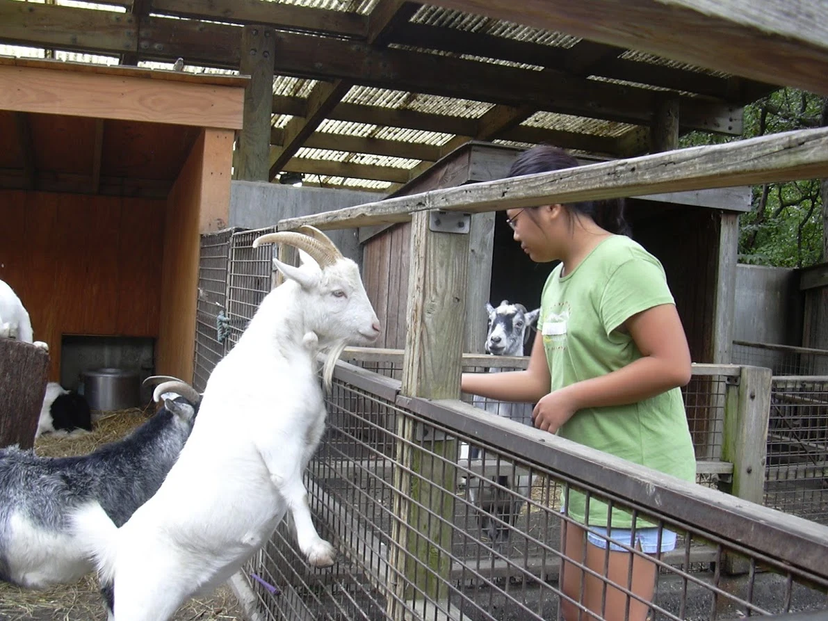 T2g4vY4ga40qsDmUnWIJLViaDokRoH1flHCHGGjbtLDP_CbuRXIMtmk3zypCm-aN5fL1xWwQMwAkIw39GQ-LRxx_H6lrMWWaYhIPLFRCgz4fm1jLCo__0F8NUVE6gUw7m1onPOWGK-KQwLWmSkcXkyJ6K1WWBke4dHh8FZZo4WdJP0w4bM21SOuxMIsZkjWltKKV0X9a65BH4BgnFPH7yEkg6e0EWAL5d2BTcYMjPXWTo6oQVZ74JxSaNbRO-r79B8hPVphBQ96WY5eBzK0zyI1epV7qLva5LAsizvMCRlUYrjoCmNgwkRvEDgyqV7agpatXQOermj3Kn7waIjUBzeZRKsgDAO27_TIsDAHclBAhFcKviNkZSU2CB7N-PvvvKZF1IFazhP7EBS1XTOtBpmBiBWJXv5obBxTRynIzIzdb2FGdmWux2w0zQC1teNMqqBePcYAxeionEoHoNu5yacTa7r_D5-c3E-jjxQrYMIUHn5XoltHJgkx4GMoZcWsnGqva1fSYbcqLUSOWDitEqT5dLhxYqO-ebeyWEKFr_IADTDmV3FsvH142dviWAQY-_A0poPqrhy_k9ZnF0ebsPEpHl_PDWvIqTNTdxxq7Hen3O2JFzNgmtH5yCWfPe8C7Jp6XVb9FXWprQ3hlbAJq36X4h_-HVogd7lduWguYWaXIwV8WUlfT5w_cowaP-_M=w1191-h893-no?authuser=0