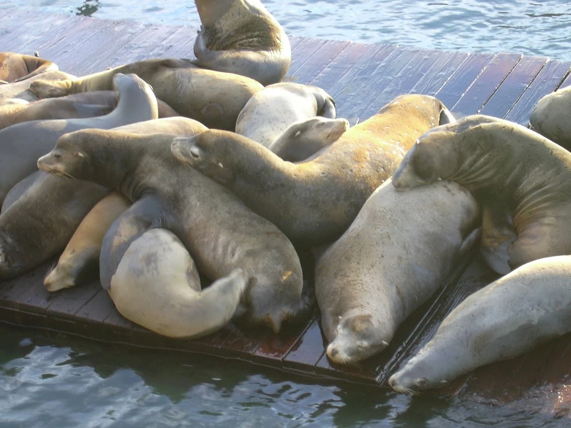 o6zFJK2BGJzvhm8UnjbgZnAYSJPTxZaU340jaTwLD9m8qgPSpOPOc_6sUkPo8JO31PnaryOE_JMqRzvoniy2M-XB3ZfpdxHtSghC4pLbuZHr0tUpUKMUXEPVE8mi-ajqTrxTIL4dXIaa1BqH3-rHGtpujL73eZg399SFnfL5dEzPy74f_fS1n54ZJ3Z520NVjzYNWEBmtn6hOky05JmflY3LI7cHok8MhzuhpybW94BXn5pPIzQYJ8szmem9L6IO19GqAvvhfzx1bbOQbhrkMRCT2LOOs6_pMFTv9y3CKW0Qr_zEk2WfGxY9Uy2fkeOnn7n0nF4aEyMjX-wcF8doZ8LlFL0RQJFR-uOUhxYquYe9VOdN1wlH6x4VdW_Le7_cVS0rnOYqFbOh5hH8ysilWsy3NXGYjYXh3T0lPgBVDWH2sxZX9MHJI2o_s60yvrtUaNn7sGBgxX1wzh8mq4cAyHDNHvphZGQKRMzLQNPOZGQFNiOx4IMgZDf5ExtpYDsT3yEzeKWfkKss3_sXU3z3t4qw_M97YvZfTjrDHpQq2BNW_qNxNxNkyEnwSKejIKHV7FjbOMerrIdwuNJ7YcwIAJfp4KbXpnKnmPtA-Izzcq2STAIe14neiD3Sj5jY-yU9XnP9Wi5wm9uuhKep49SBrNLibkPAy8RqZs1BsagVYp5lT_dyB0iXR2SNREt4MMQ=w1175-h882-no?authuser=0