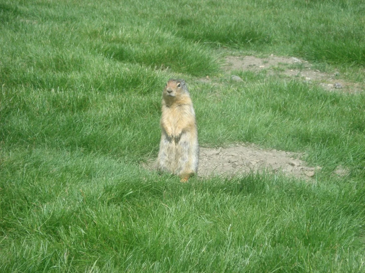 ajfYtz54FcS9jSJp63iC-VsHfN0yXaaI8t7OLRsJxTX5OAHuDn71APFfjhkZKelGK9XNBrO9TqyHTJlwsyOhZQ0cceSlNk6GRprDgUKlbguIw1TUX-Cd1i8IsJtNro3GUjQn87sveaLj7bsaj6R2UP4YklhIyeFa7AGjQNsj9tdpLQkxzzUGMOlUQVIQrWfs4QpfKGtq9p_95j15ugQW04hCr2MI_FI4zBadZYt4PqFne45R434qmBe0KTD5OctOFXM2ENE84dqQXX1ZsfBscnwU9gNXze5RMASqZO8YYFsDeJ4ddNpUrhuRZXiRFIK3DizTygS-dNQmYDraOPb_i2iUh0qYLi4Arph1PyyWBcwJ7HefkZFVz75Io8Oom6-J4MOU3ltxEv86bblbYa5MA2p-LQVtc_NpCrsGw8uCIMaH3rxURNwW8762J8ffI-Xjh8MrpQMZoAsWQcjaFC9H2ZxTiwyTEJamYQ5B5JLvpUbiyQaSCdq8AzlPFeWqHf2eu8zI9qkmHG6YzRFaK-kuziy3Z2Azi4Jv5PP4B016acJt7orUo_a07vNpKZZPEY0zuVXltM-Yj14yL9RabcfHsn7f6BA_aCQaiGUl6kbO7pJFSqMSR2PMKTm0g0OP3TtZb2ROs21aqEzbN798HDfEjyQTkaKRRs2FYJkzKYQkz5TEh_qIqzoidduqKqrJe1Q=w1175-h882-no?authuser=0