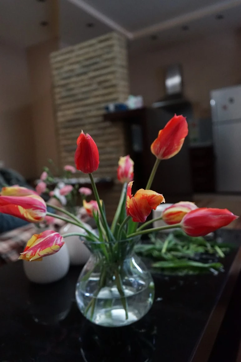 DSC00004.JPG?type=w773