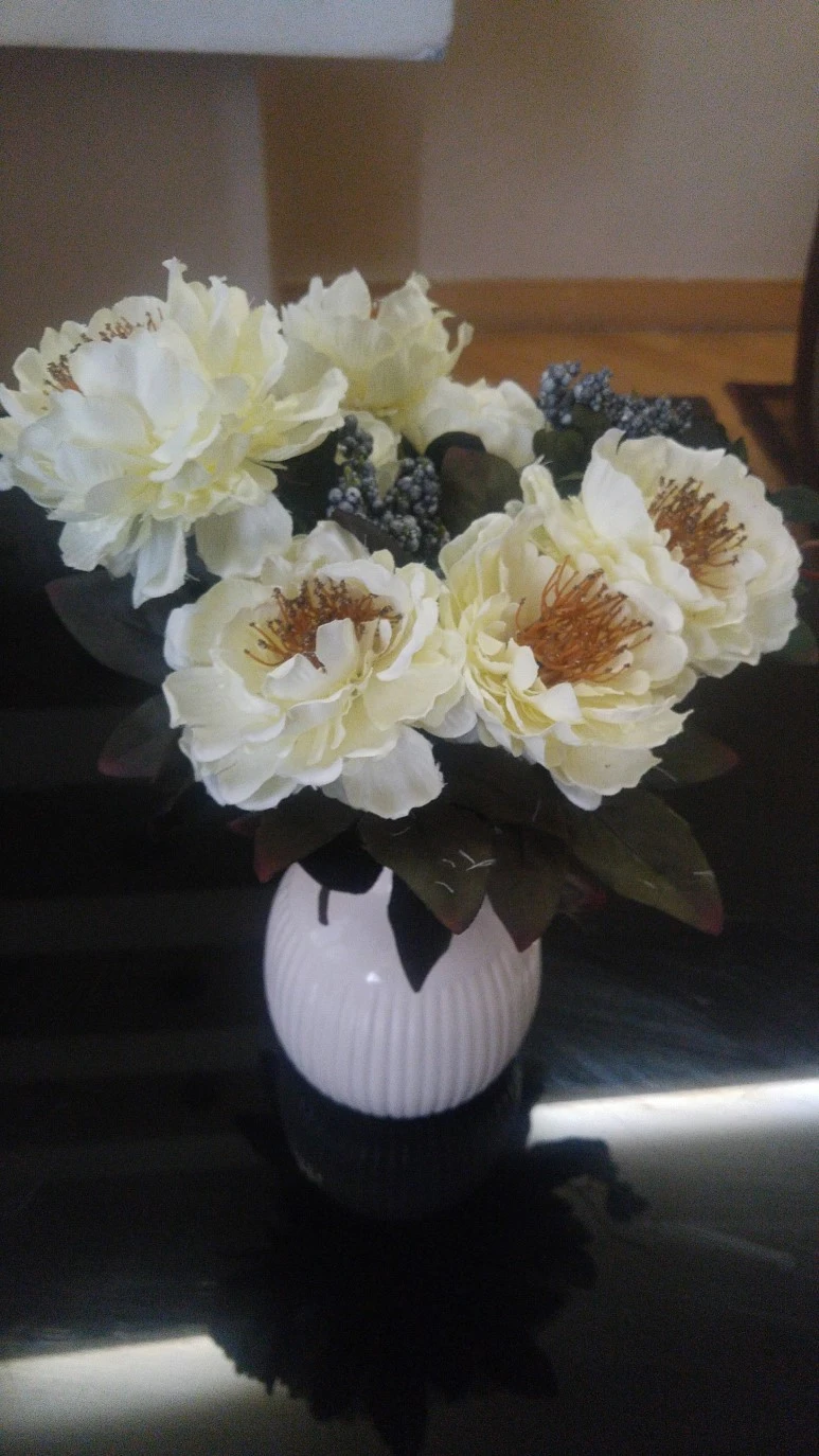 20180429_094018.jpg?type=w773