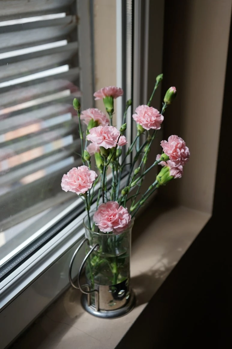 DSC00085.JPG?type=w773