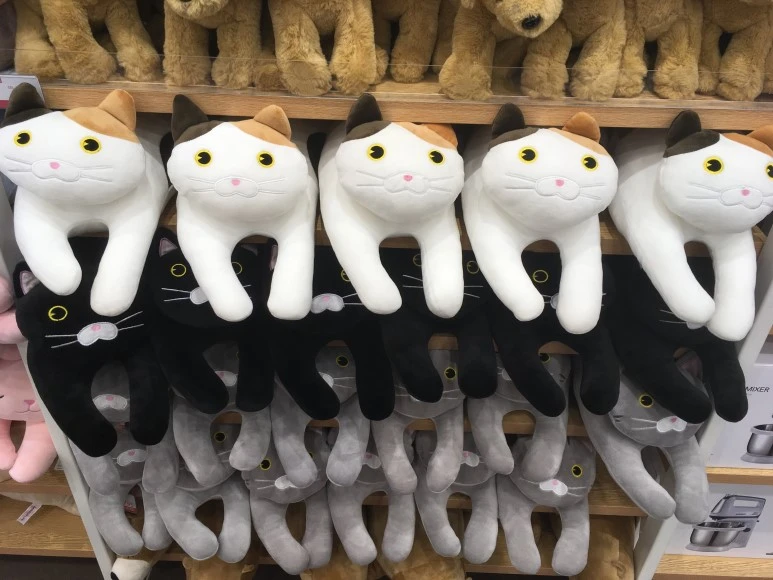 IMG_3970.JPG?type=w773