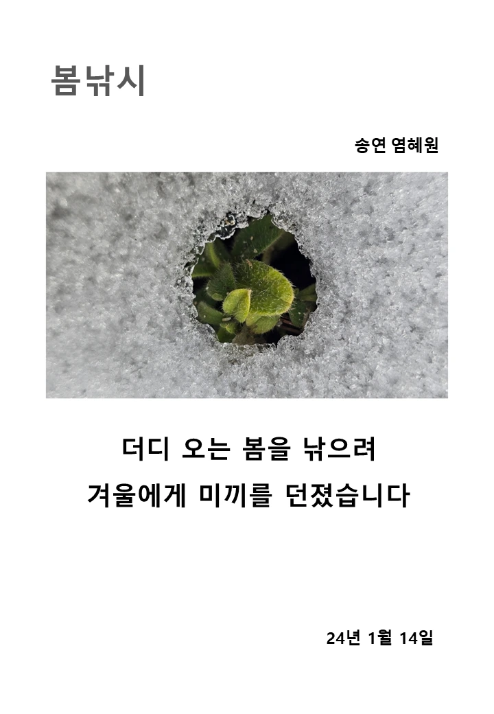 1708261007692.png?type=w773