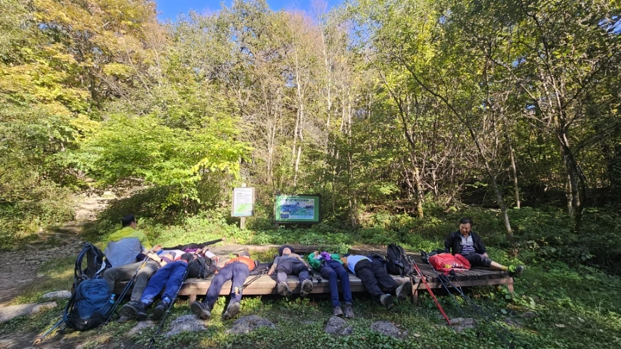 20241012%EF%BC%BF151852.jpg?type=w1