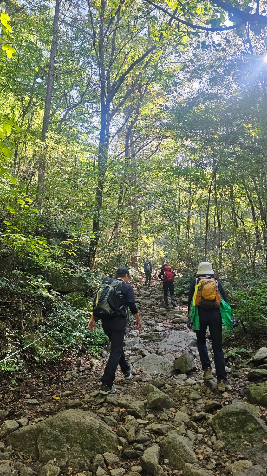 20241012%EF%BC%BF104312.jpg?type=w1