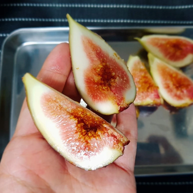 image_9938378301503967559683.jpg?type=w773