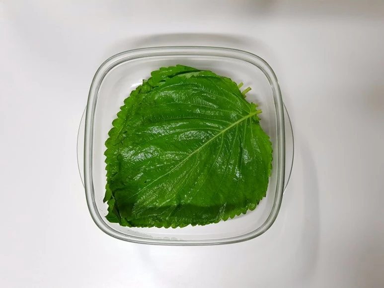 image_7773301551507623260324.jpg?type=w773