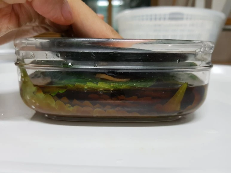 20170818_220823.jpg?type=w773