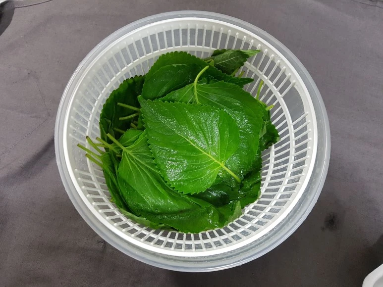 a6e159a9-b526-494a-89d5-fdf39ae1ba17.jpg?type=w773