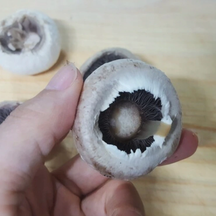 c8857733-f335-4fea-93af-bf9d5d5de20e.jpg?type=w773