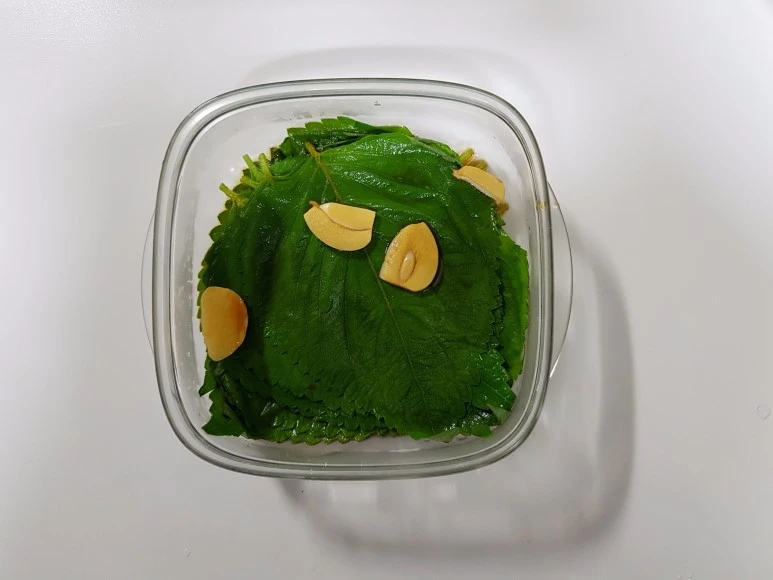 image_9241213731507623260320.jpg?type=w773