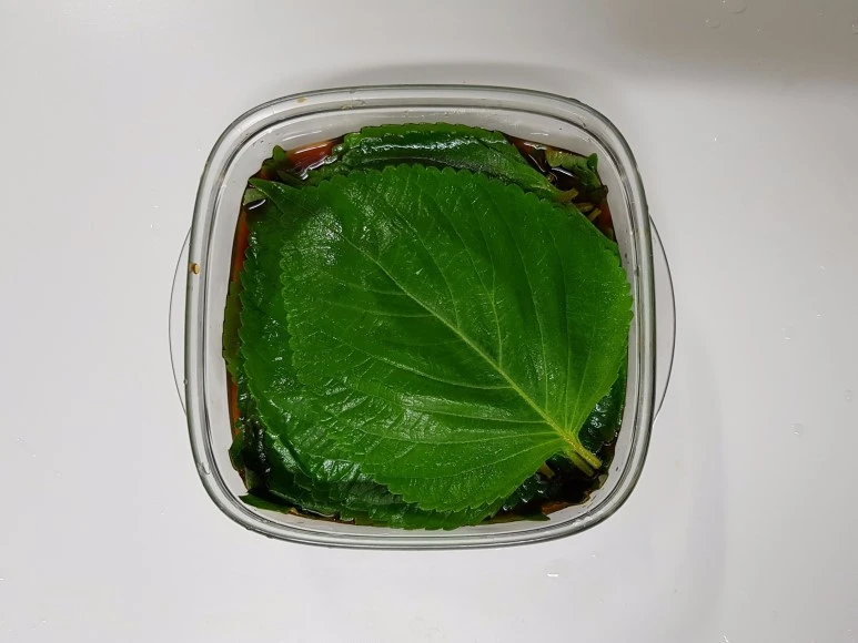 image_3214358521507623260318.jpg?type=w773