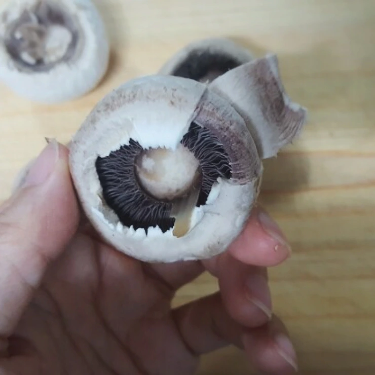 e4a8b83e-e0fa-496d-bf50-c69fed0f190e.jpg?type=w773