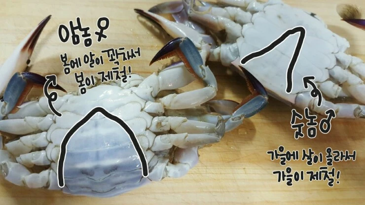 16-10-25-11-25-44-253_deco.jpg?type=w773