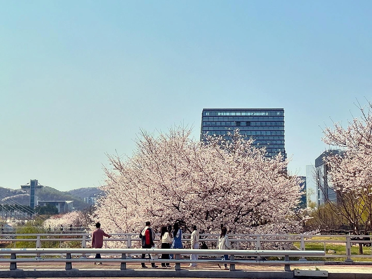 KakaoTalk_Photo_2025-04-08-15-07-59 001.jpeg