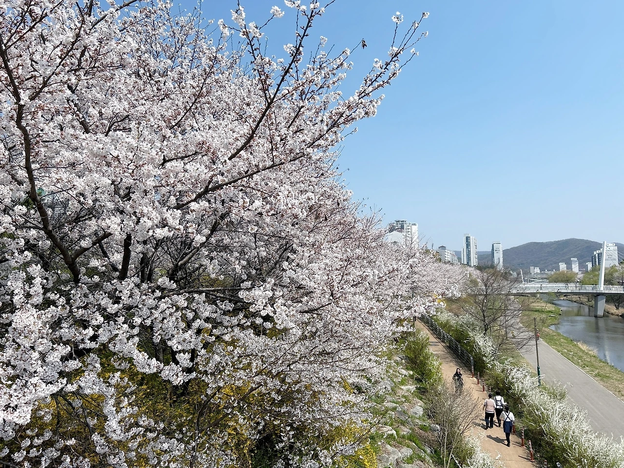 KakaoTalk_Photo_2025-04-08-15-07-59 002.jpeg