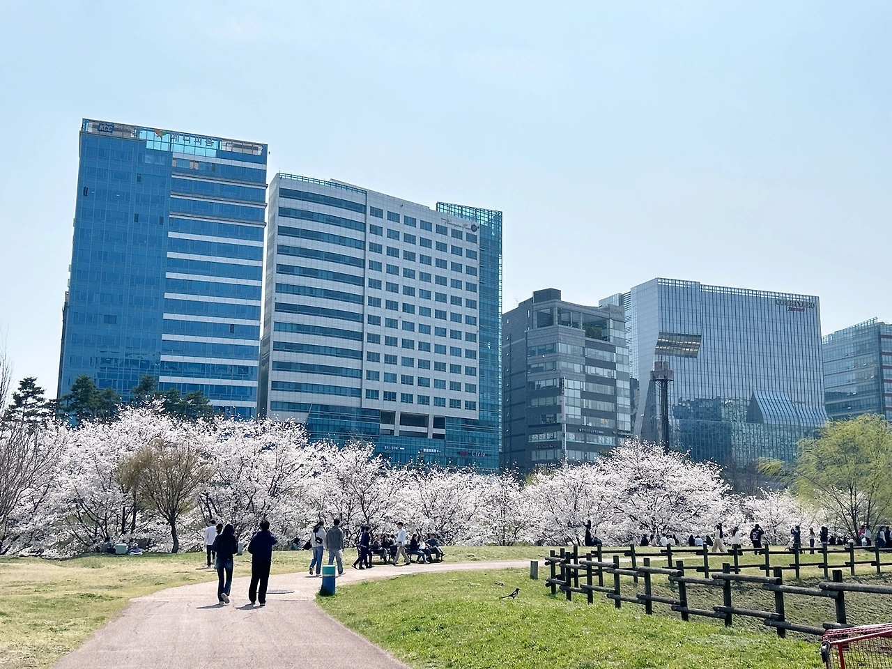 KakaoTalk_Photo_2025-04-08-15-07-59 003.jpeg