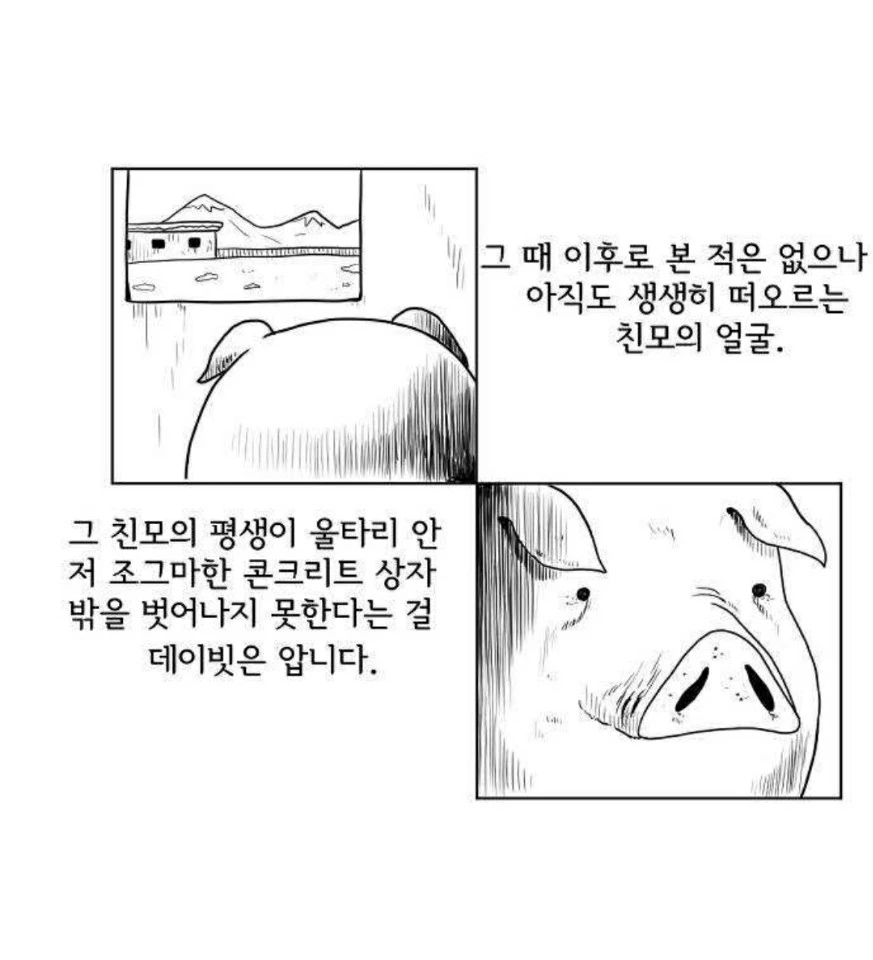 KakaoTalk_20200801_163341633_14.jpg?type=w1