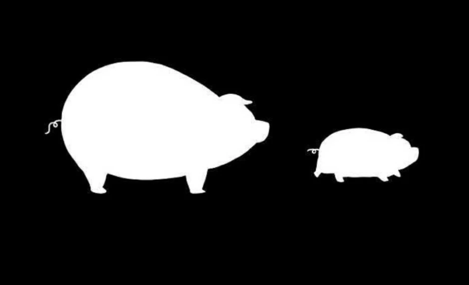 KakaoTalk_20200801_163341633_13.jpg?type=w1