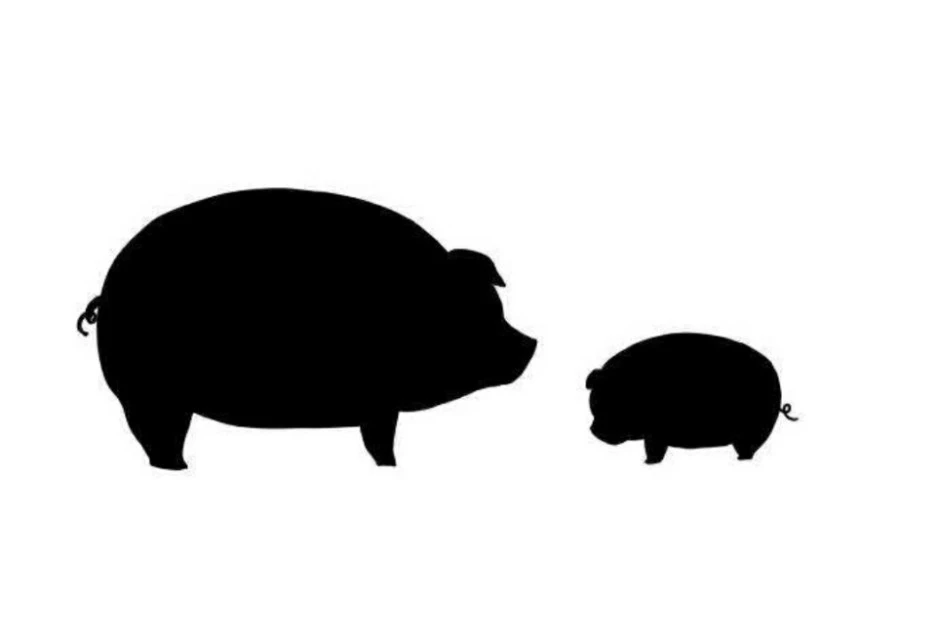 KakaoTalk_20200801_163341633_15.jpg?type=w1