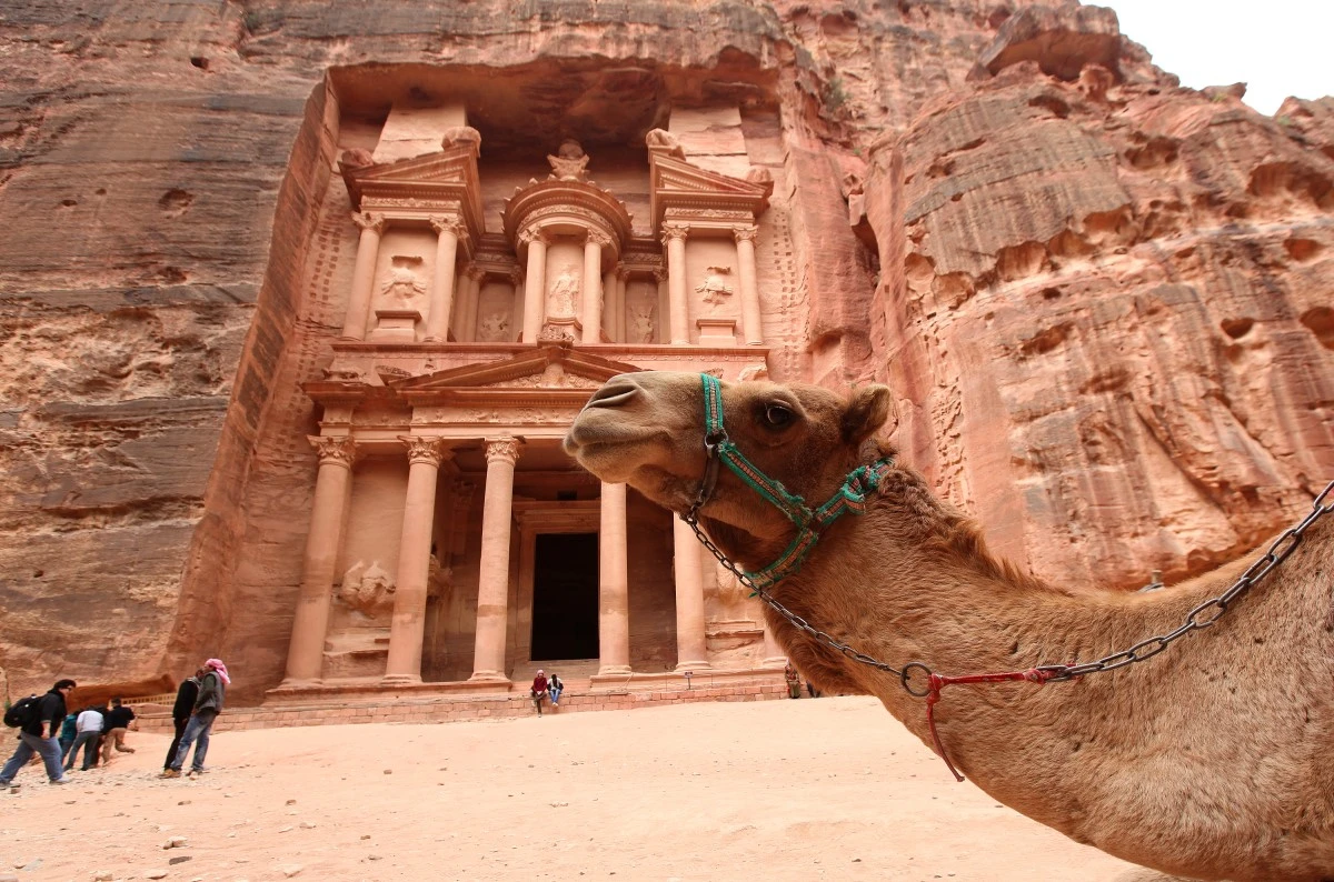 %C0%CE%B5%F0%BE%C6%B3%AA%C1%B8%BD%BA%C0%C7_%B9%E8%B0%E6%C0%CC_%B5%C8_%C6%E4%C6%AE%B6%F3%C0%C7_%BE%CB%C4%AB%C1%EE%B3%D7.jpg?type=w1200