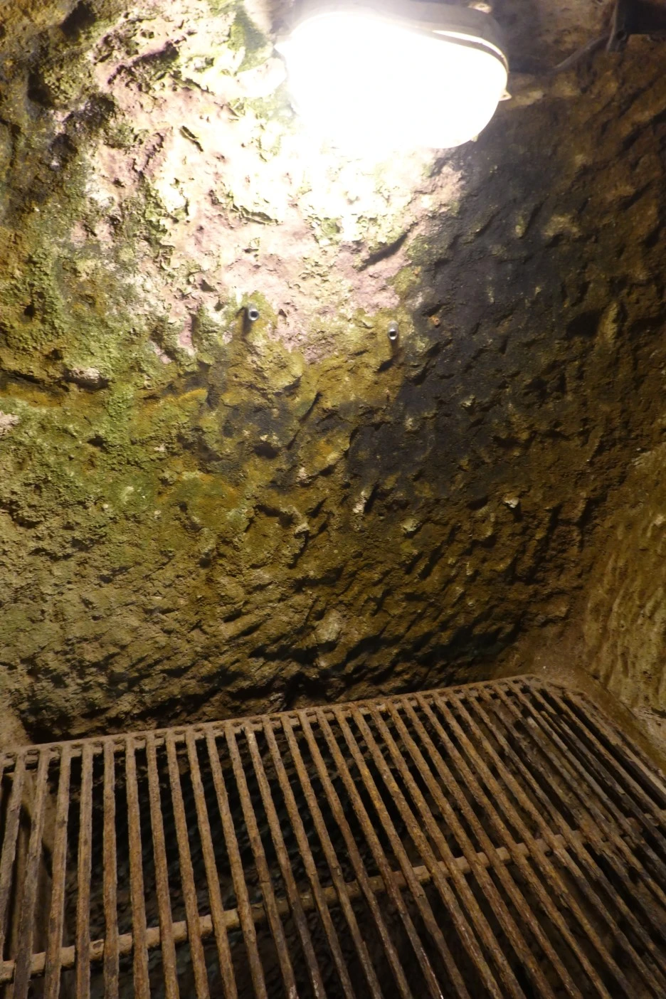 DSC04602.JPG?type=w1