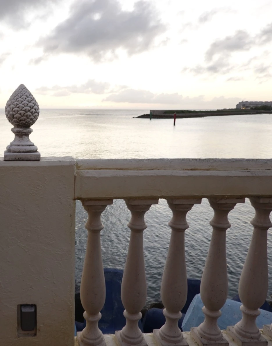 SE-c1092f08-894c-4ccb-a146-d207dca8528a.jpg?type=w1