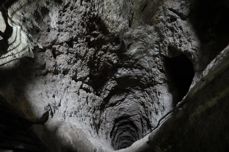 DSC04595.JPG?type=w1