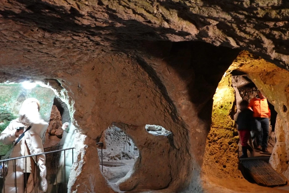 DSC04589.JPG?type=w1