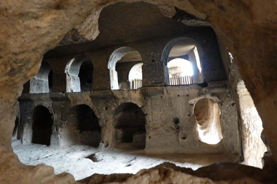 DSC04659.JPG?type=w1