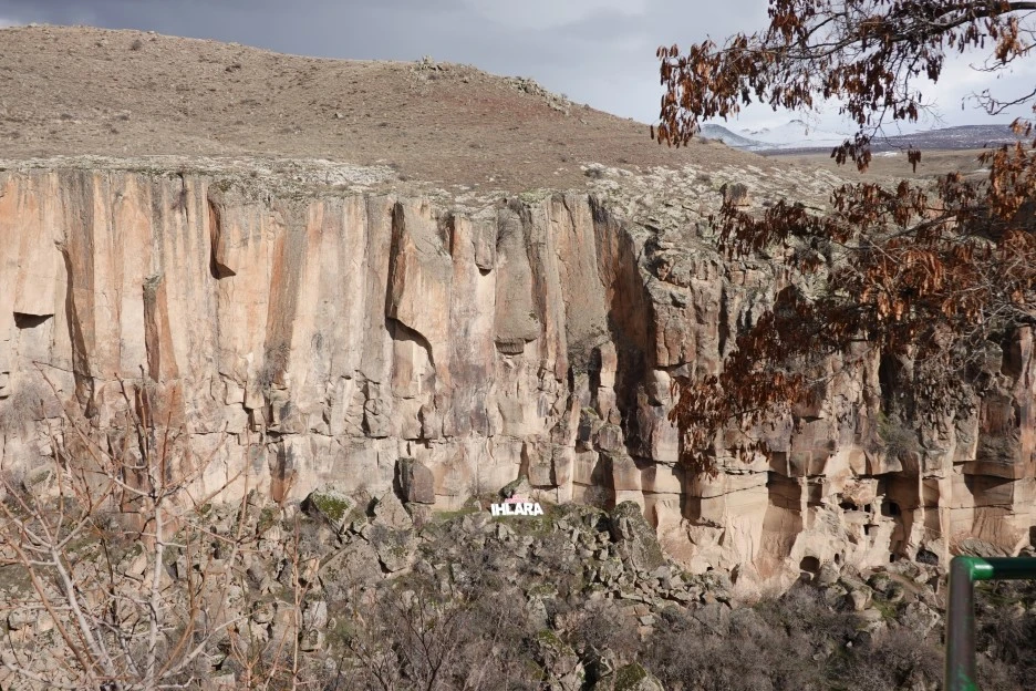 DSC04702.JPG?type=w1