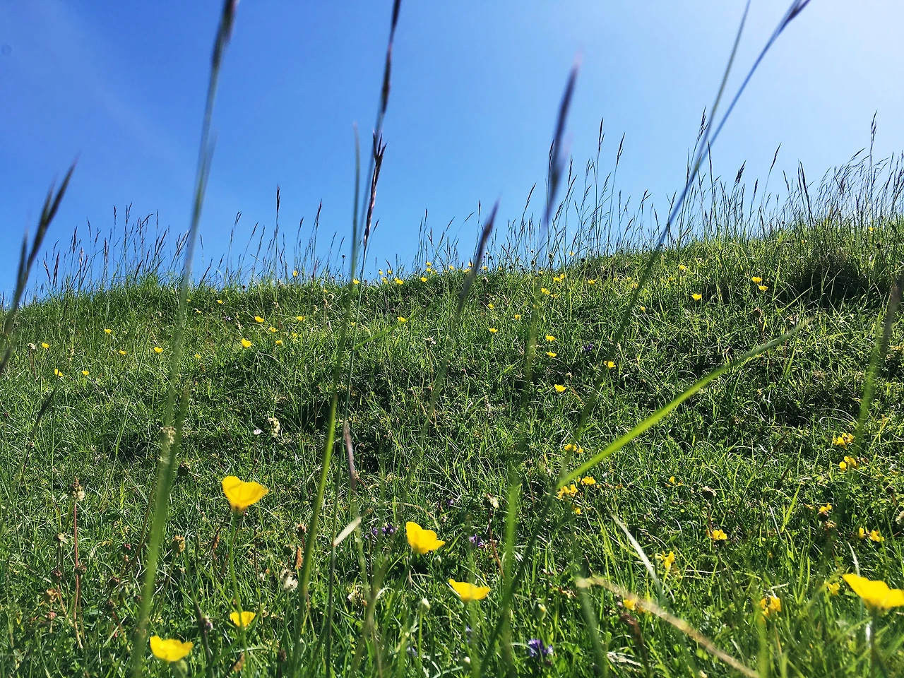 바람의 언덕02.JPG