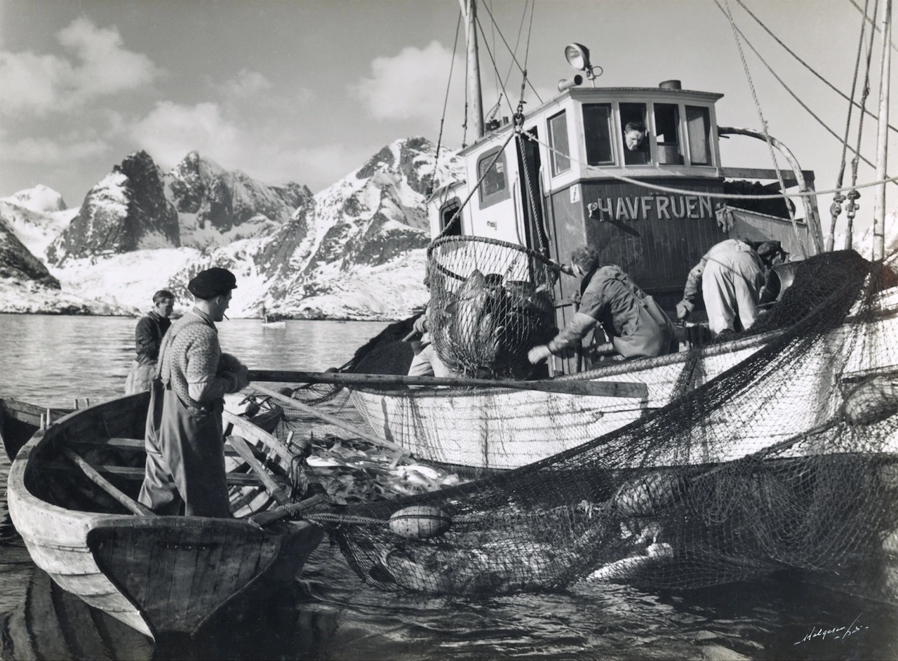 KakaoTalk_Photo_2022-10-05-08-48-19 003.jpeg