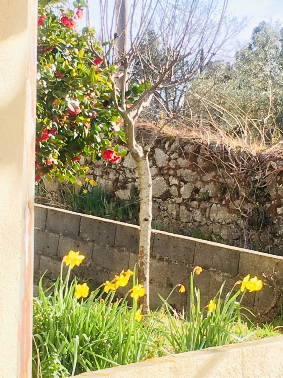 KakaoTalk_Photo_2023-02-28-10-21-16 001.jpeg