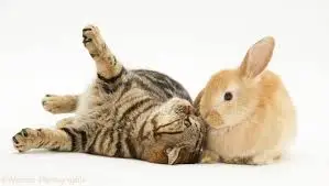 다운로드 (1).jfif