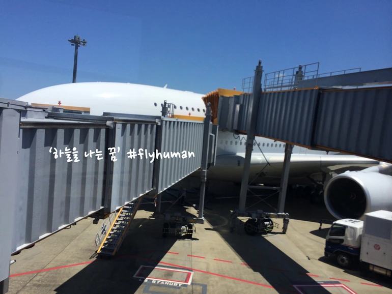 2656CD3B567C99B3075F84