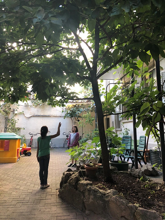 99A28F505EA207DE0F32BB