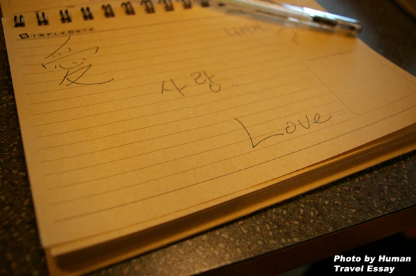 114C8E464DD903B826C668