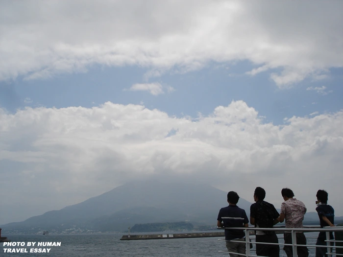 1139634D4DFE2C331F8FC8