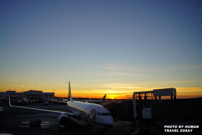 18153B434E1B1BDC308F77