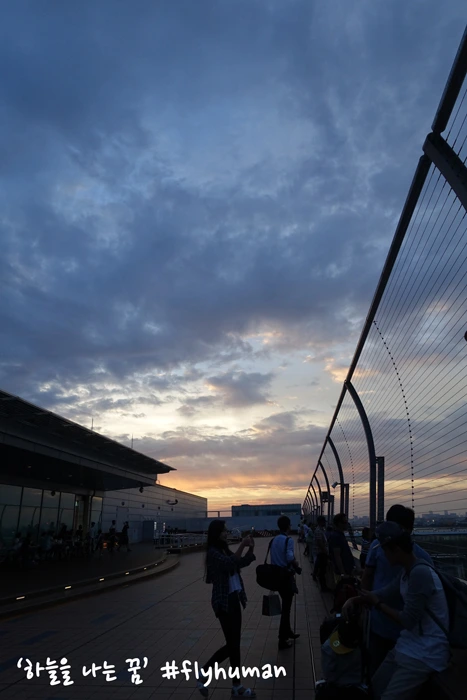 2624D840567F3CF722C667