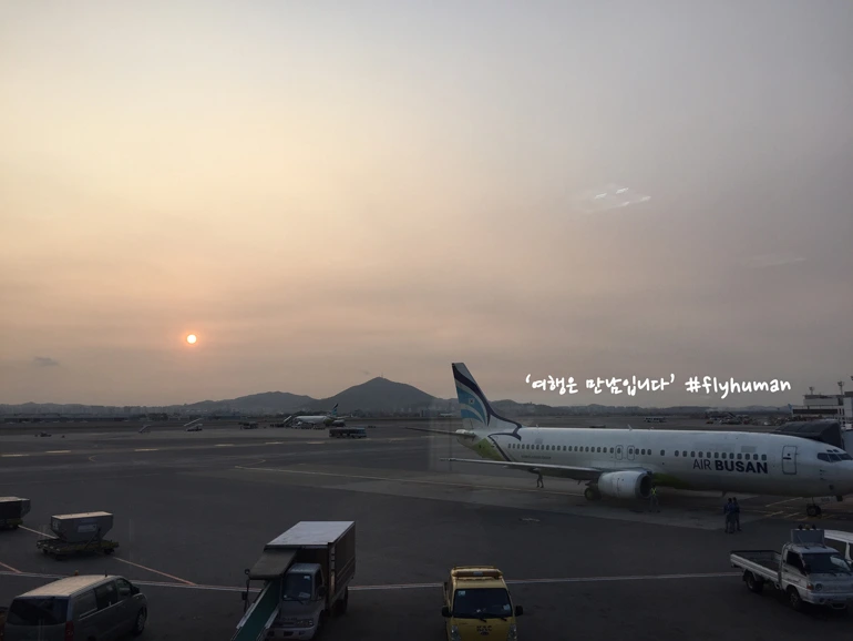 225D243D56659B0C076AF8