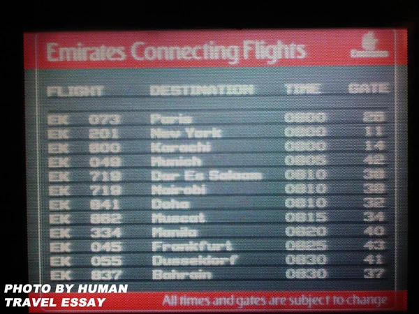 2032B03C4DEC60A02A3A39