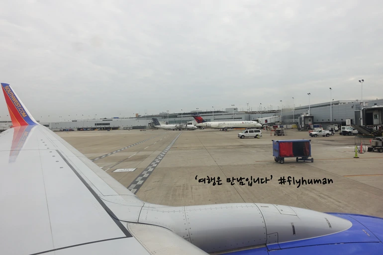 2119513F56641F4E229A38