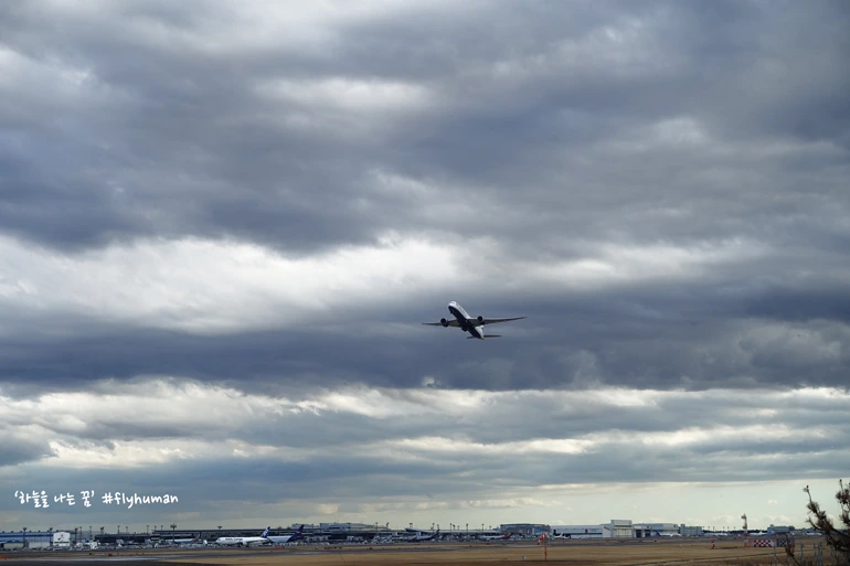 24DAFC33597A0840298117