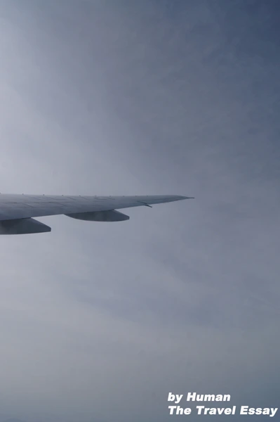 175F14494DD062FC37E69F