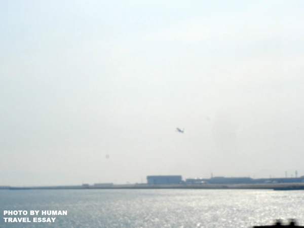 182DF34A4DEC6CD417A76C