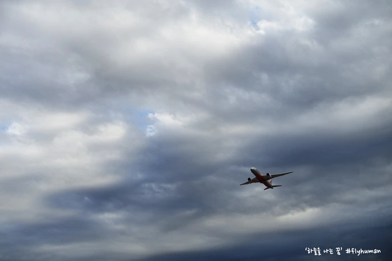 26071D335979FDCA39F5EF